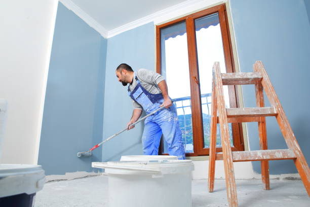 Tolono, IL Mold Removal Company