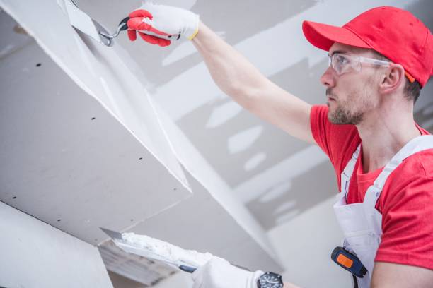  Tolono, IL Mold Removal Pros